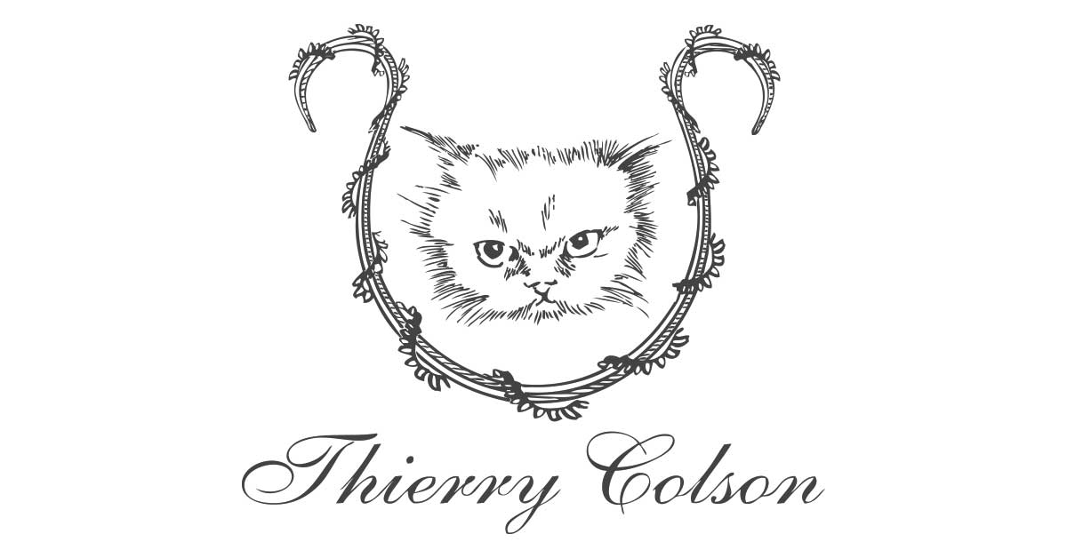 THIERRY COLSON DESIGNER – Thierry Colson