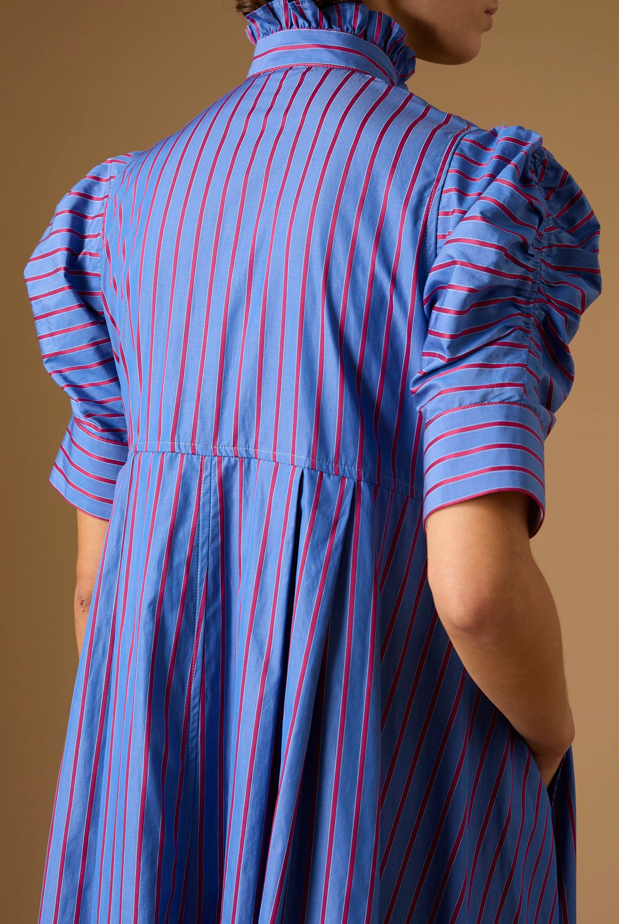 Close up of Back Venetia Bluet Cherry Stripes Dress by Thierry Colson
