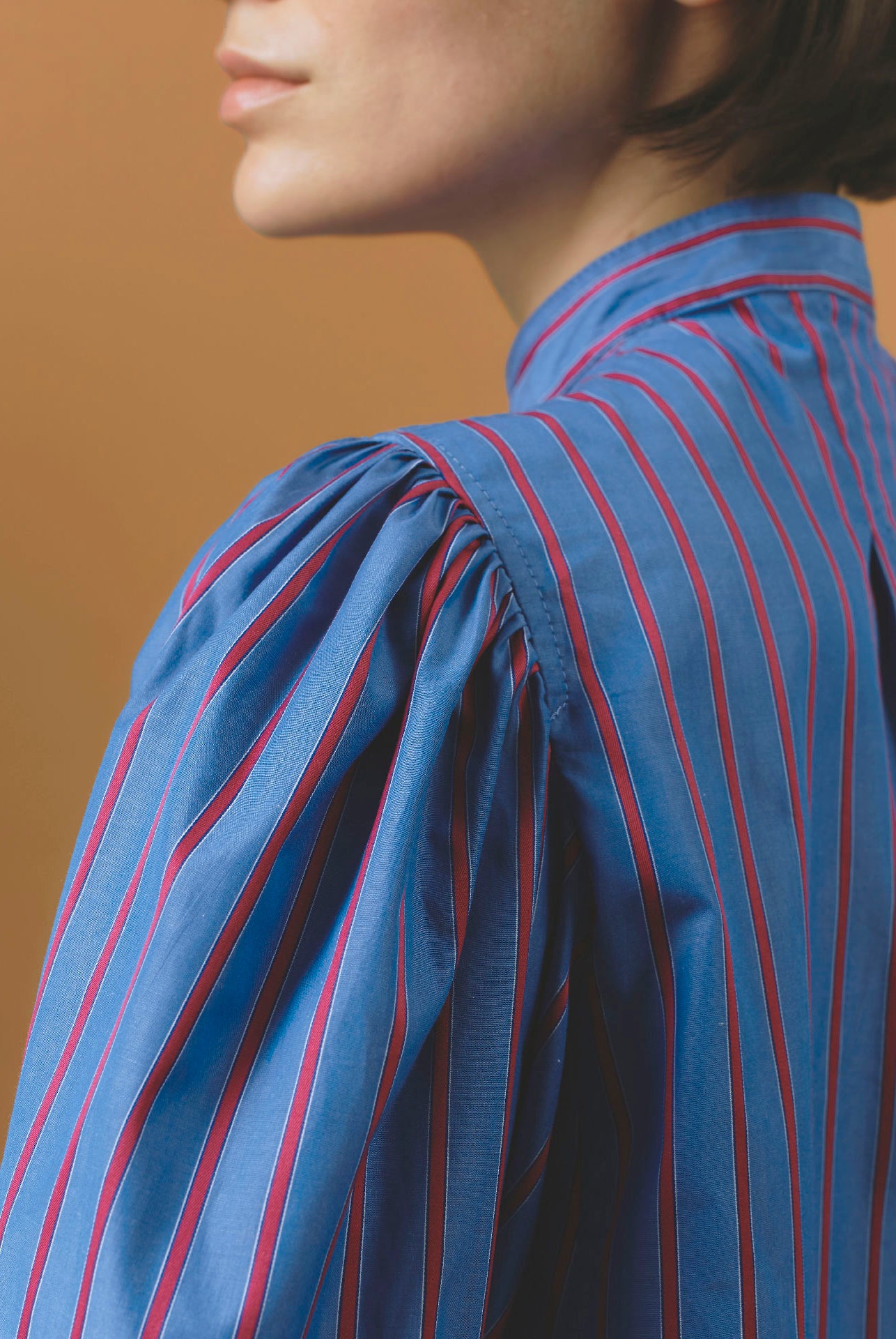 Detail back of Yana Bluet Cherry Stripes Blouse - County by Thierry Colson