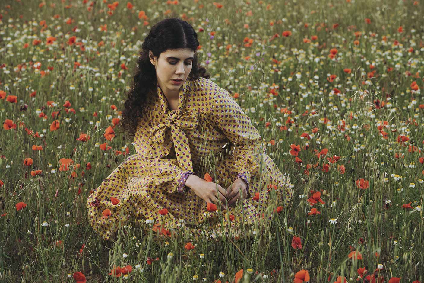 Provencal Mignardises