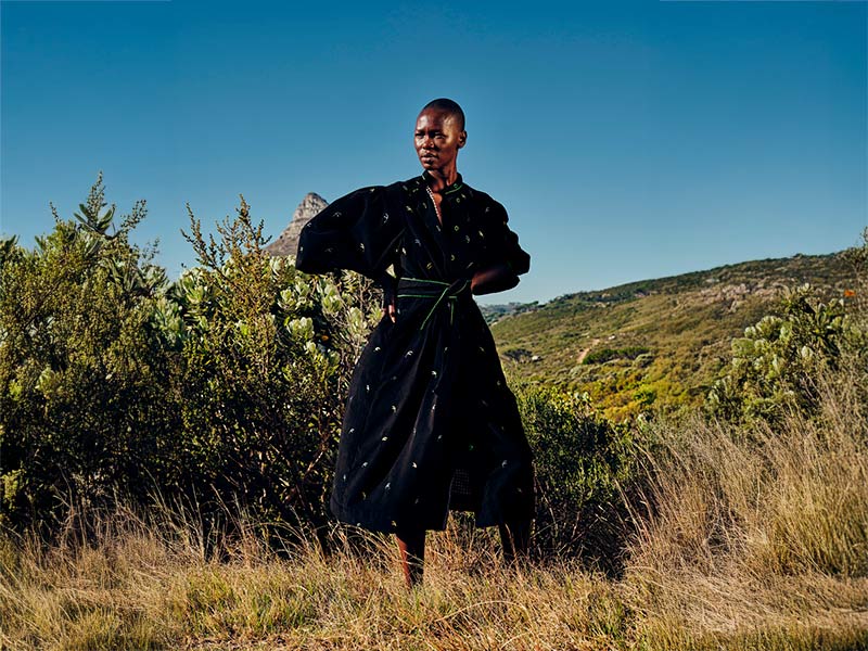 Fall 25 -  Pavilion Embroidery