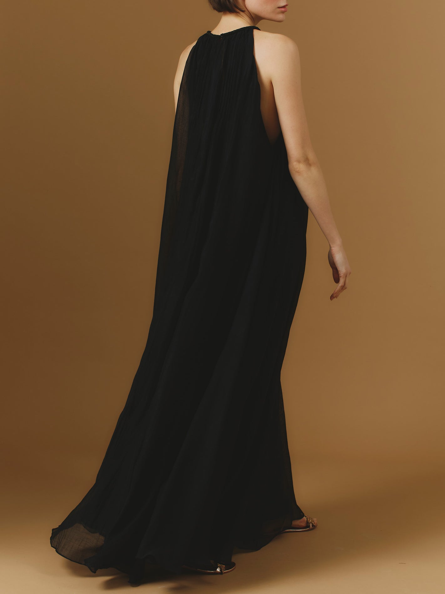 Back view of Zenith Chanderi Appliqué Black Long Dress by Thierry Colson