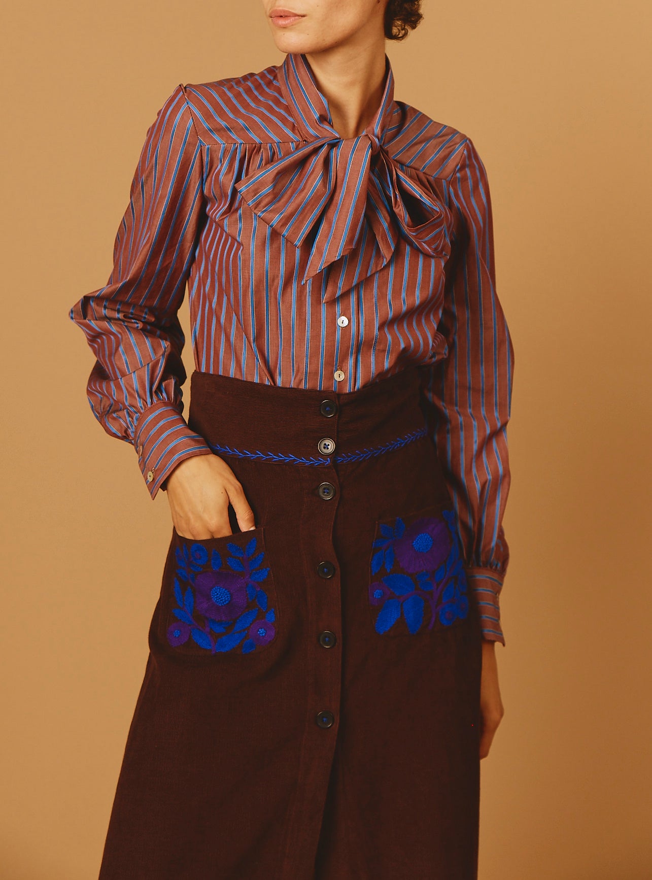Front view of Alba Brown/Blue Stripes Blouse - Thierry Colson