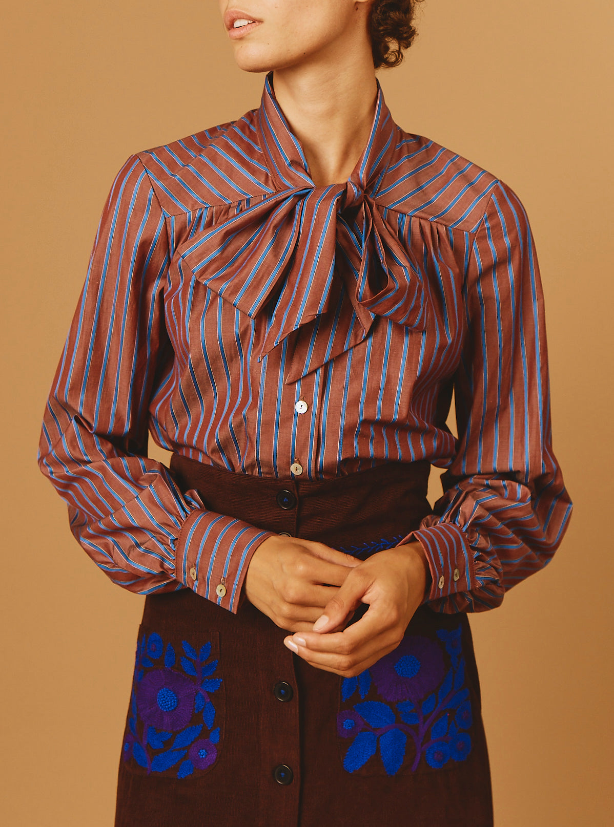Close-up of Alba Brown/Blue Stripes Blouse - Thierry Colson