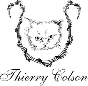 Thierry Colson