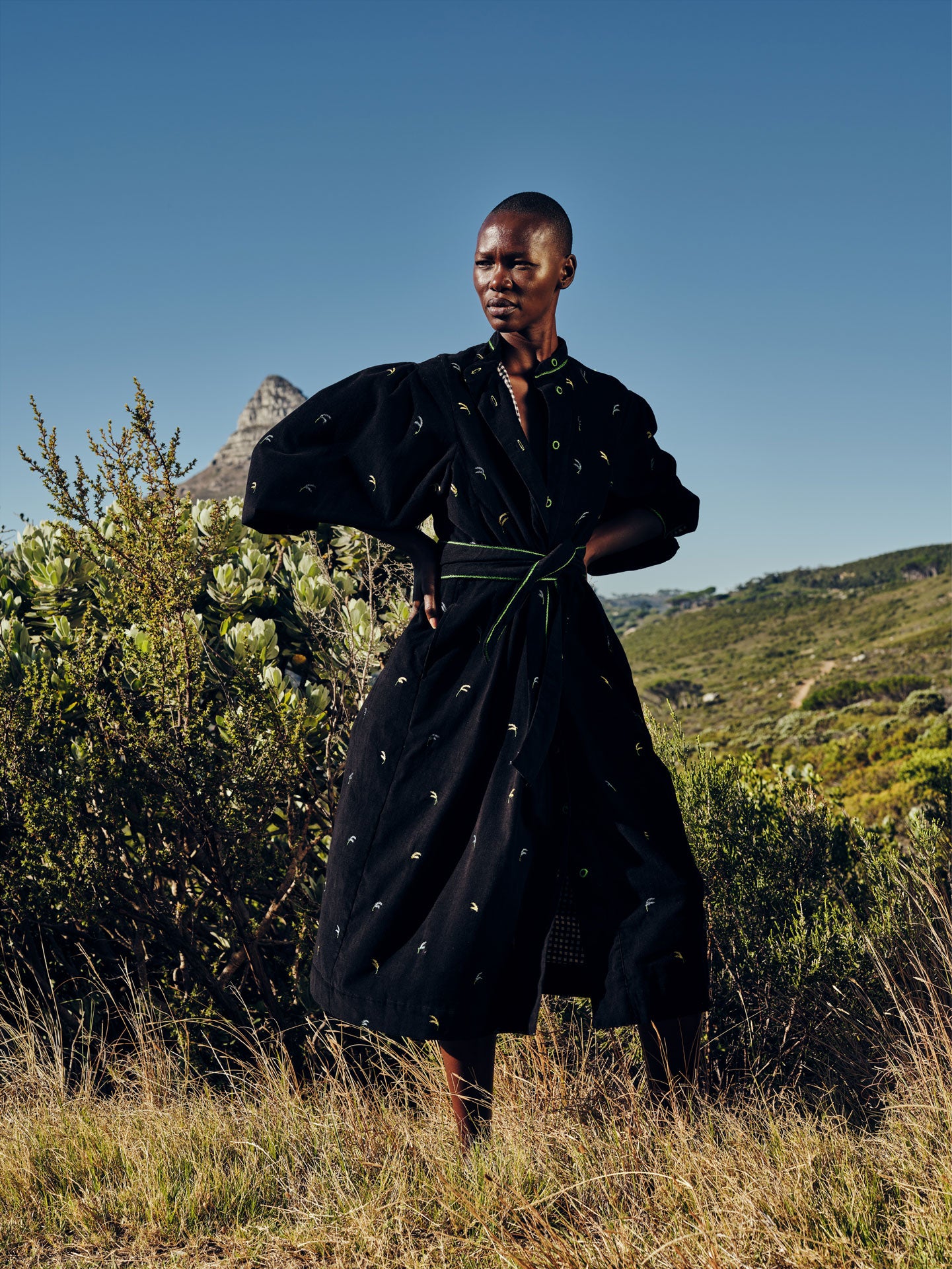 Yvonne Midi Dress - Pavilion Embroidery - Black – Thierry Colson