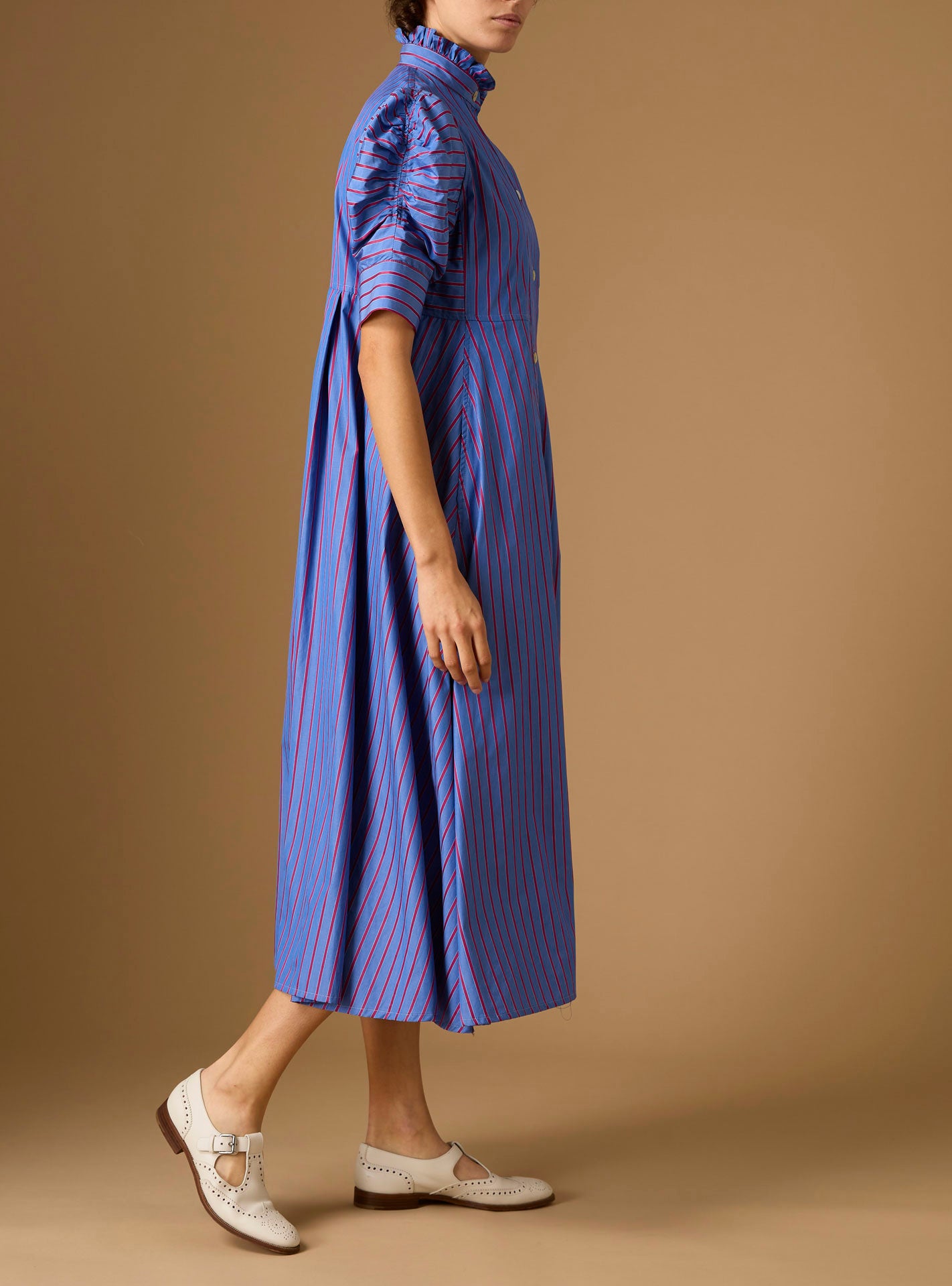 Side view of Venetia Bluet Cherry Stripes Dress by Thierry Colson