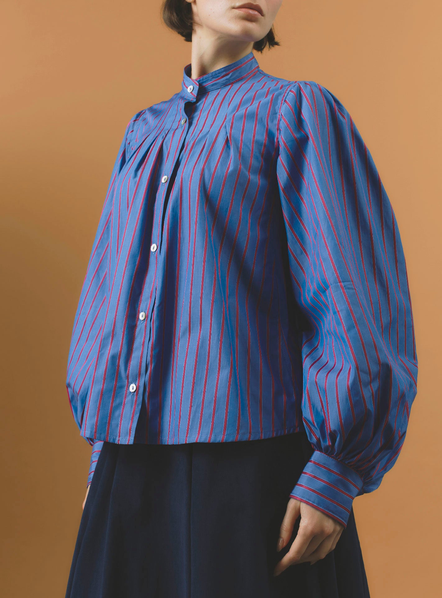 Front view of Yana  Bluet Cherry Stripes Blouse - County by Thierry Colson