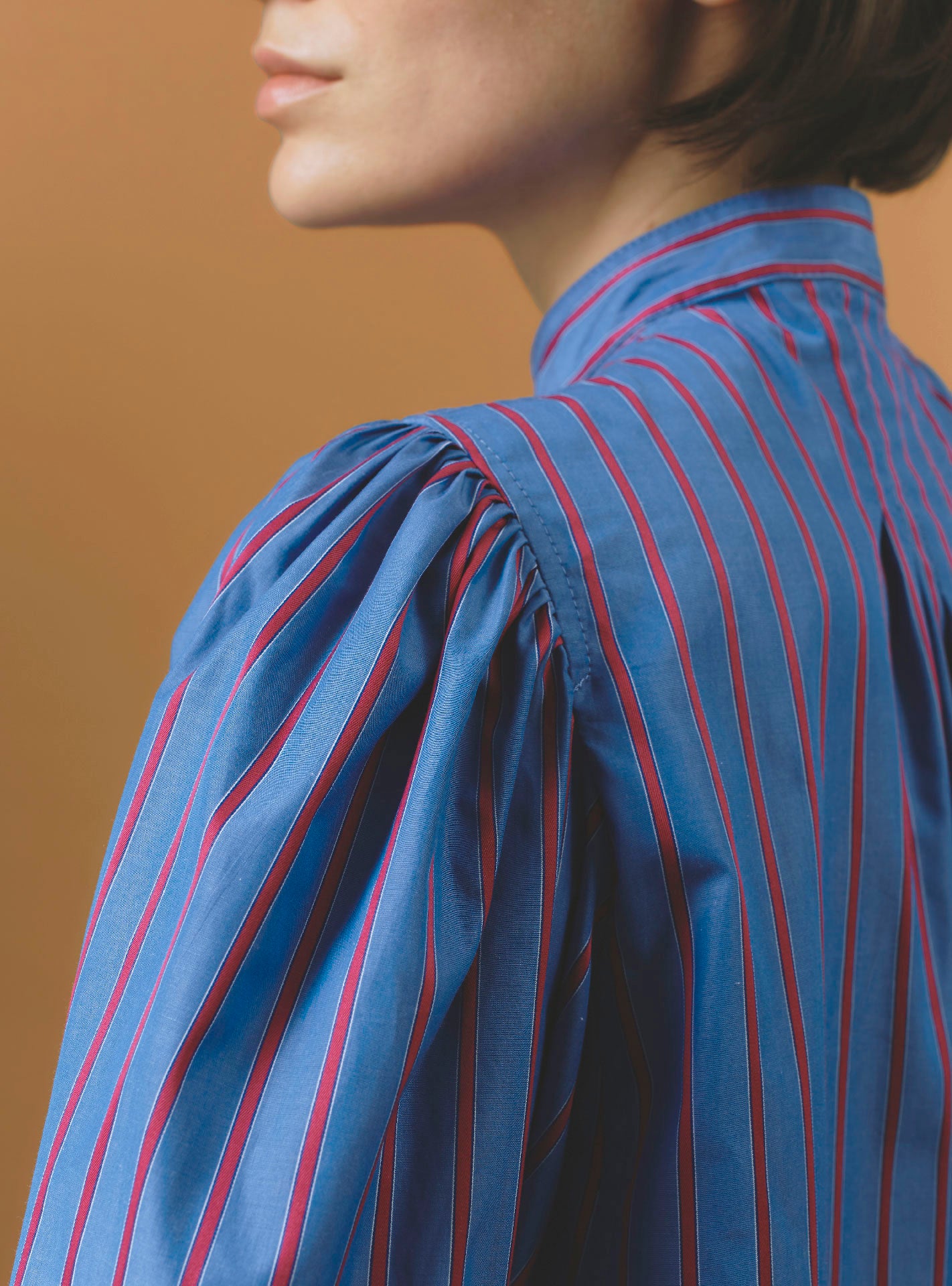Detail back of Yana  Bluet Cherry Stripes Blouse - County by Thierry Colson