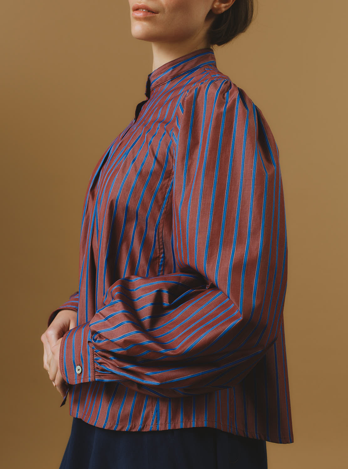 Side view of Yana County Brown Blue Stripes Blouse by Thierry Colson