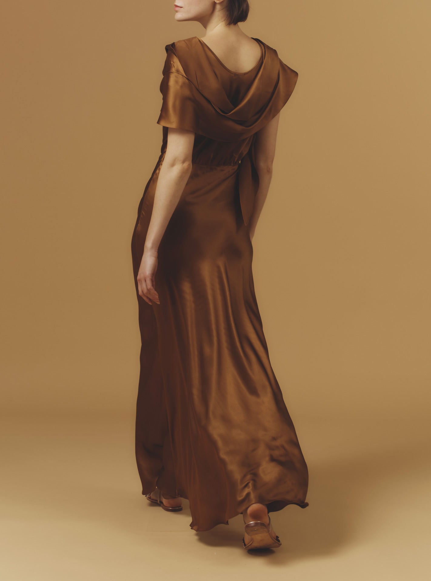 Back view of Whitney Copper Silk Dress long by Thierry Colson 